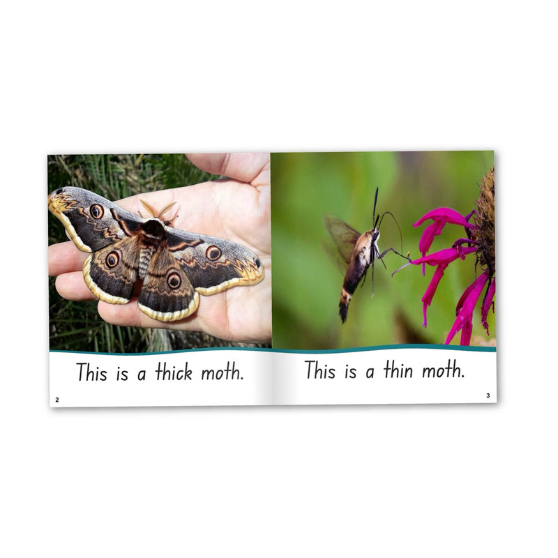 Phonics Code Book 26 /th/