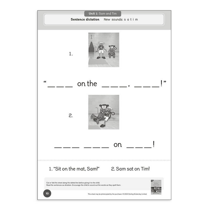 Dandelion Readers Units 1-10 - Set 4 Activity Book