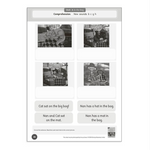 Dandelion Readers Units 1-10 - Set 4 Activity Book