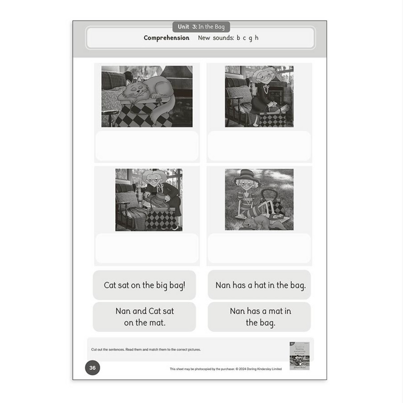 Dandelion Readers Units 1-10 - Set 4 Activity Book