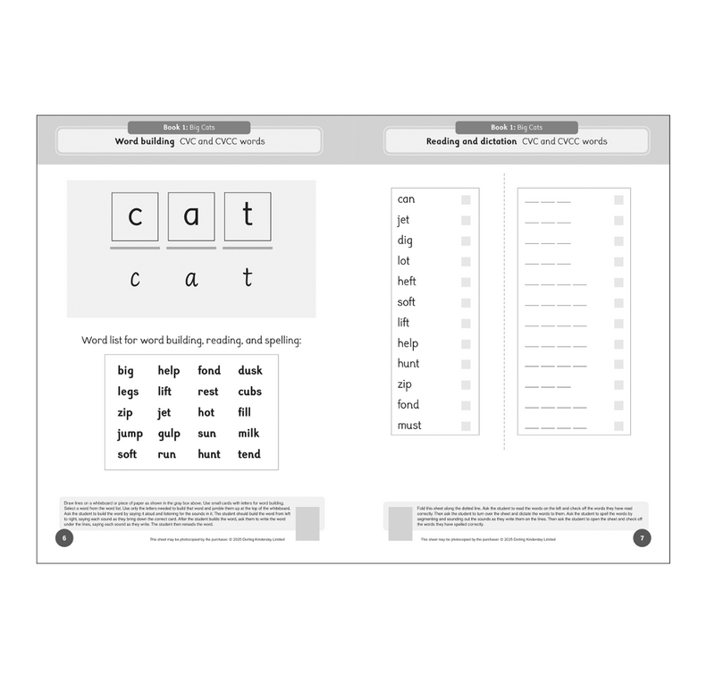 The Fact Files 2 Activity Book