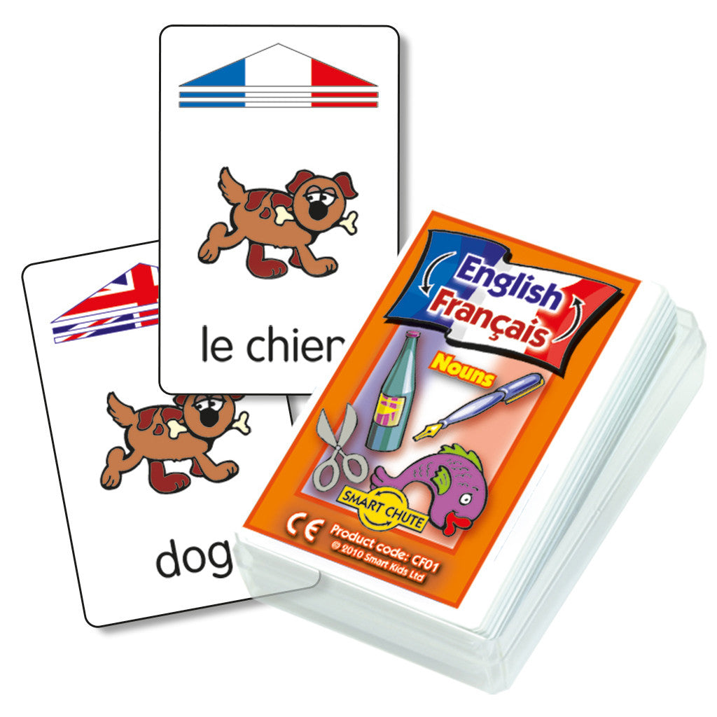 French Noun Chute Cards