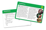 Reading Comprehension Set 3 (age 9+)