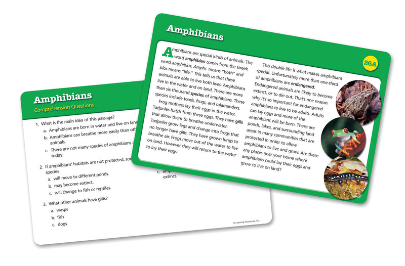 Reading Comprehension Set 3 (age 9+)