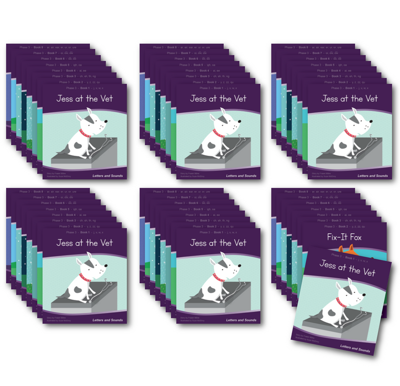 Phase 3 Fiction Decodable Readers x 6 Sets