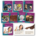 L&S Phase 5 Non-fiction Readers  x 6 Sets