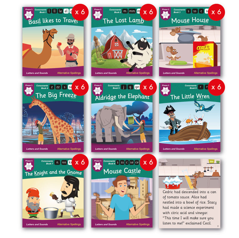 Phase 5 Alternative Spellings - Consonant Sounds (set of 48 books)