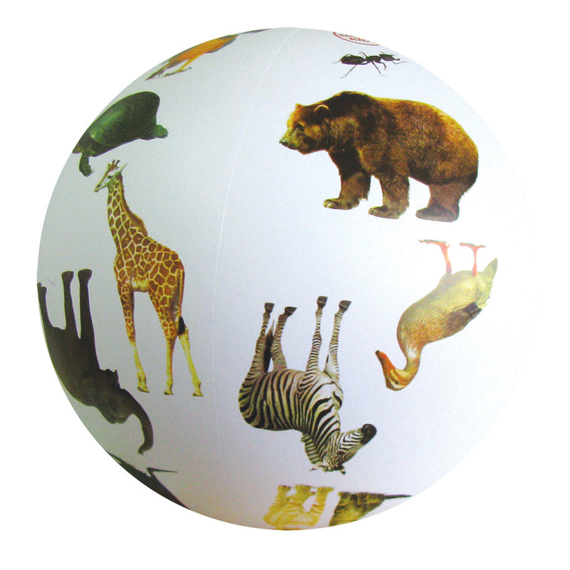 Animal Ball