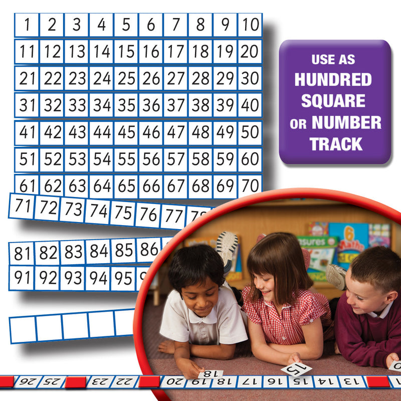 Large 1-100 Number Track